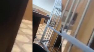 Трое заключенных Читинского централа голодают уже неделю