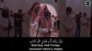 МУХАММАД аль-ЛЮХАЙДАН не СМОГ СДЕРЖАТЬ СЛЕЗЫ