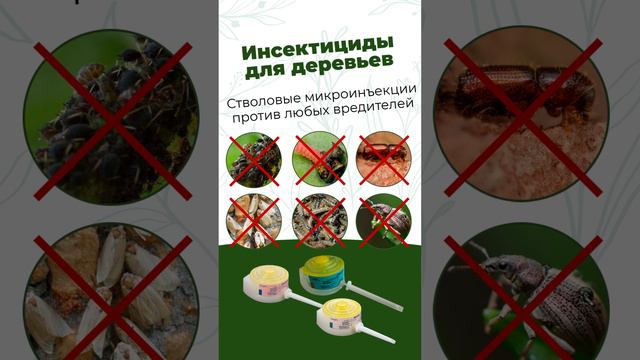 Против любых вредителей деревьев. Инсектициды для стволовых инъекций