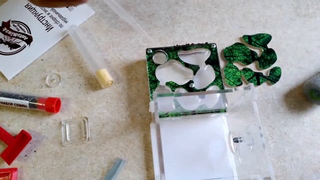 МУРАВЬИНАЯ ФЕРМА. Насекомые для детей (домашний муравейник). смотреть онлайн