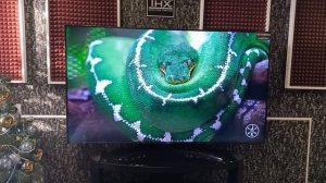 LG 65UP81006LA