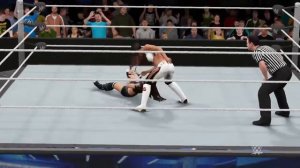 WFW SmackDown: AJ Lee vs Brie Bella [1/4 1'st cont