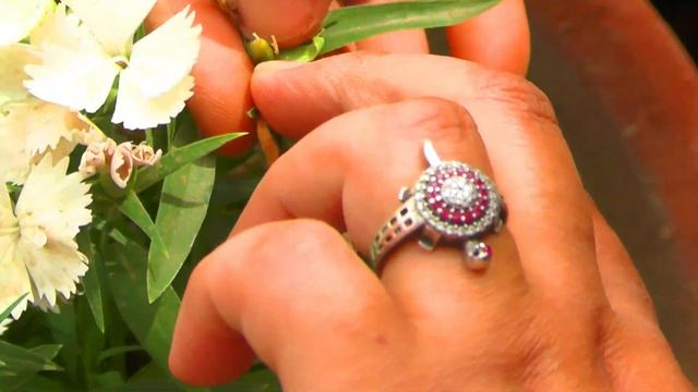 Dianthus flower seed collection смотреть онлайн