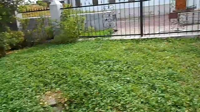 С угла театра музкомедии на площадь перед ДК на пр. Бухар-Жырау