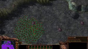 Me spamming zerg creep