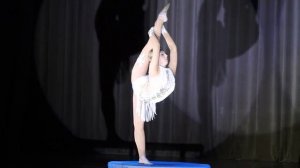 Жар-птица - Цирковой номер