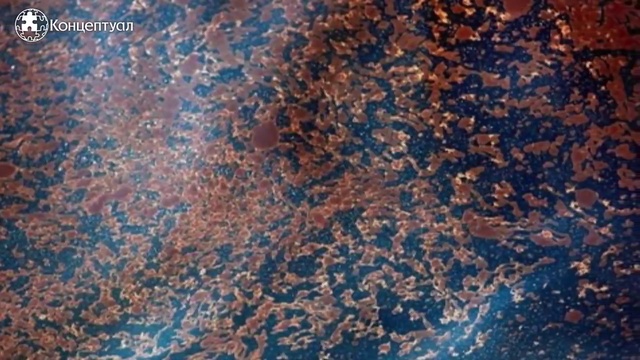 Пётр Гаряев - Генетический хаос