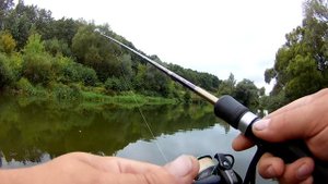 Ловля Голавля, Жереха осенью на перекате. Воблеры, Блесны, Мухи пригодилось все.Голавль на спиннинг