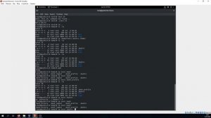 Базовые команды Линукс, часть 1. Урок 4.