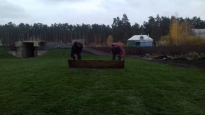 Трамбовка газона