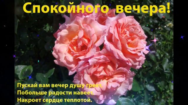 Волнующего  вечера     Ассия  Ахат    Я  красота смотреть онлайн