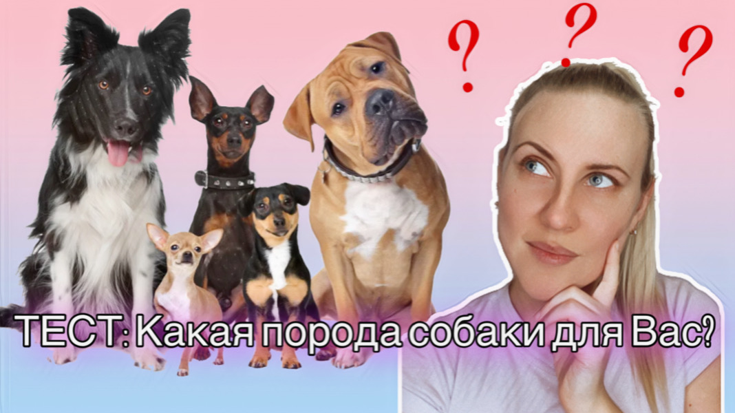 ТЕСТ: Какая порода собаки для Вас смотреть онлайн