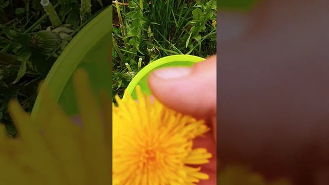 порадуйте свою печень не упускайте время смотреть онлайн