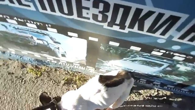 Выброшенный французик ((( смотреть онлайн