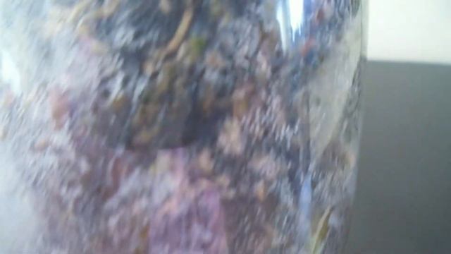 Bringing a new mini Phalaenopsis home from a cold shop PART4 смотреть онлайн