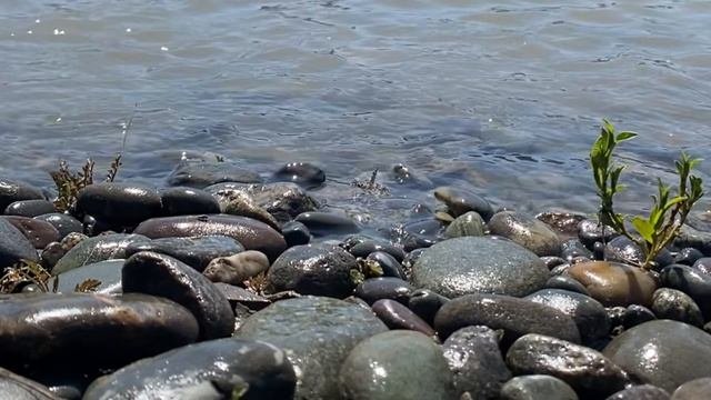 Удовольствие. Почему важно получать удовольствие от всего? Энергия удовольствия и наслаждения.