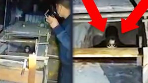 Страшилки снятые в реальной жизни