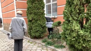 Садовый пылесос + правильный мешок = УБОРКА САДА /чисто без пыли