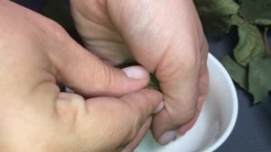 Одна кружка Этого чая, Снижает САХАР! Выводит СОЛИ из ОРГАНИЗМА! пей вместо чая