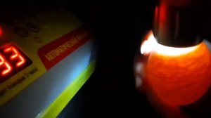 Докладываем яйца на инкубацию. Овоскопируем яйца.