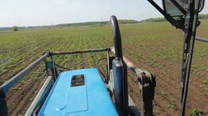 Хим прополка кукурузы. Гербицидная обработка кукурузы от сорняков.