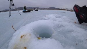 Хотели уехать домой, ну нашли место где рыбы валом! Рыбалка 2022