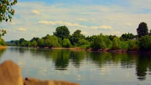 Белые голуби