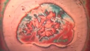 Жидкие Кристаллы (3-3) (liquid crystals)