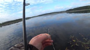 Где искать щуку на пруду .Лучшие воблеры на щуку в моей коллекции. Рыбалка Пермский Край. Ловля щук