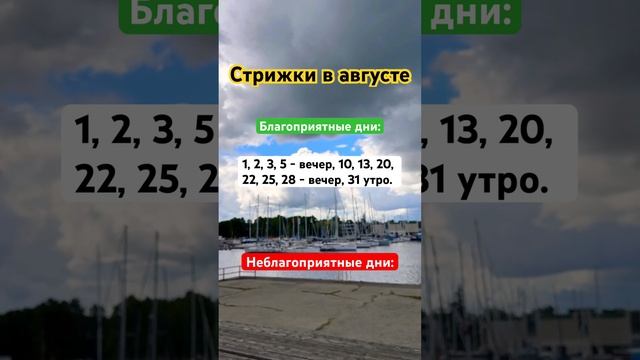 Стрижки в августе 2023  #астропрогноз #стрижки   #астролог