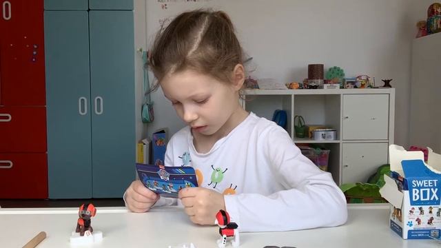 SweetBox со щенками от Прасковьи смотреть онлайн