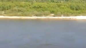 порецкое рыбалка