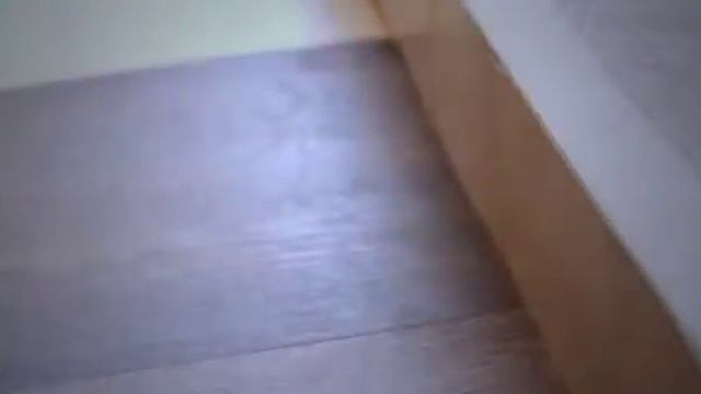 LOOSELAY  LVT TECHNOLOGY AND NEW FLOORING TENDENCY.