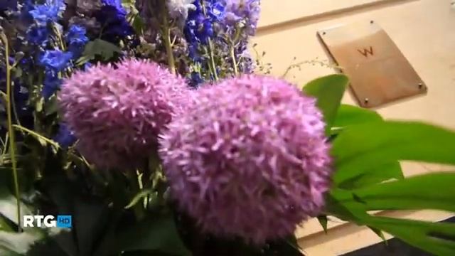 Прогулки по Санкт Петербургу смотреть онлайн