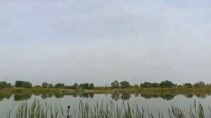 РЫБАЛКА на КАРЬЕРЕ   (сазан)