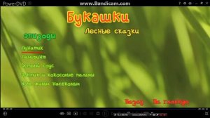 Открытие DVD букашки