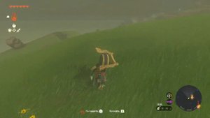 The Legend of Zelda Tears of the Kingdom Вышка горы Ульри
