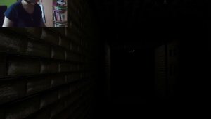 МАНЕКЕНЫ УБИЙЦЫ И СКРОМНИК! nox timore