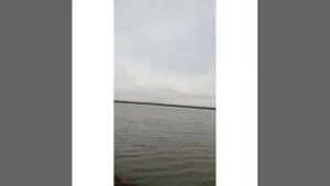 рыбалка в Крыму (с.Токарево)12.04.21г.#east shark #крым #рыбалка #карпфишинг #карп #амур #отдых вме