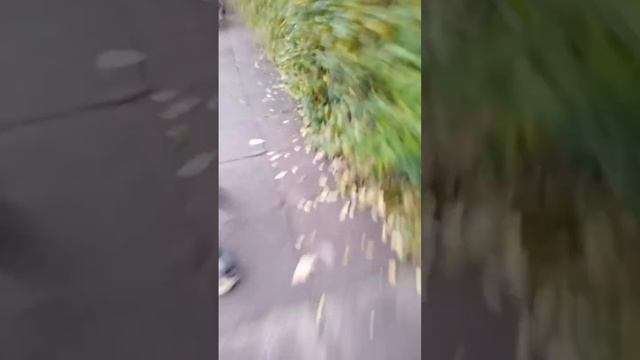 Сабвей сёрф в реальном жизни смотреть онлайн