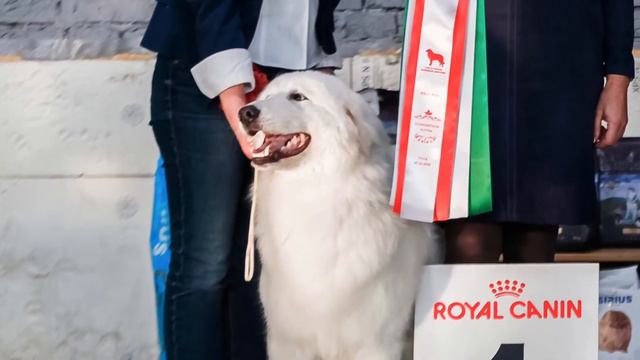 Маремма Кассандра смотреть онлайн