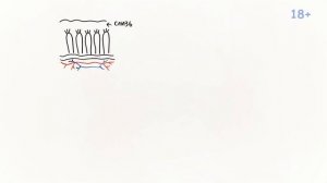 Что лучше ТАБЛЕТКИ или РЕКТАЛЬНЫЕ СВЕЧИ ?