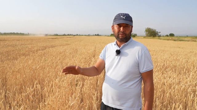 Smart земледелие в Кегети! смотреть онлайн