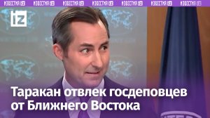 Проблема поважнее: на брифинг госдепа пробрался таракан и отвлек участников от Ближнего Востока