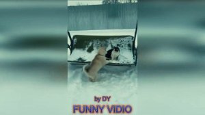 Best coub, приколы 2022, extra coub, coub mix, угар, memes (8)