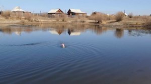 Ходовые испытание модели - копии класса Ф2-Б "ПИКА" 8 мая 2023 г.