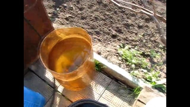 Медный купорос Первая обработка винограда
