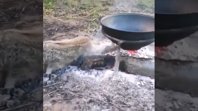 Как правильно запечь поросёнка смотреть онлайн