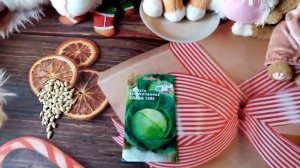 Капуста "СЛАВА 1305".   Буду Выращивать в 2021г. Очень ВКУСНАЯ ЗАСОЛОЧНАЯ!!!  29 января 2021г.