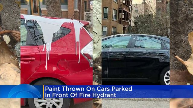 Unknown person throws paint on cars parked in front of Rogers Park fire hydrant смотреть онлайн